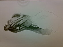 creature.jpg