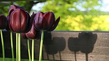 2011x475.jpg