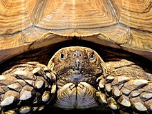 nat_geo_26.jpg