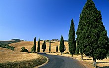 strada-di-campagna-nei-pressi-di-monticchiello-siena_1920x1200.jpg