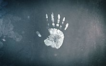 2012x25.jpg