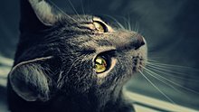 2012x44.jpg