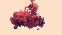 2012x54.jpg