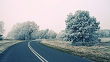 2012x82.jpg