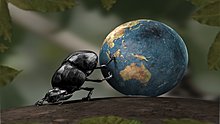 trying-move-world-1920x1080-wallpaper-4802.jpg