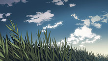 grass.jpg