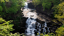 nature1.jpg