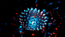 original1.gif