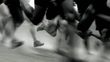 animated.gif