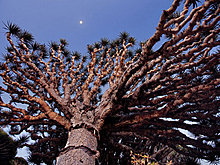 national_geographic_july_2012_21.jpg