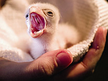 national_geographic_july_2012_29.jpg