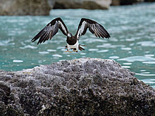 national_geographic_july_2012_33.jpg