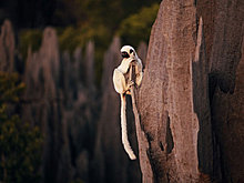 national_geographic_july_2012_36.jpg