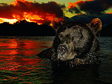 national_geographic_july_2012_38.jpg