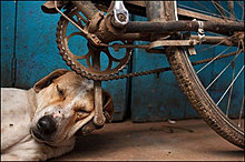 amazing_pictures_35.jpg