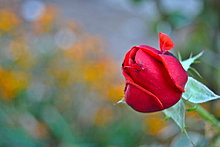 20121019-dsc_0062.jpg