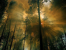 nat_geo_best_2012_1.jpg