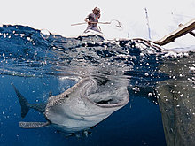 nat_geo_best_2012_5.jpg