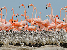 nat_geo_best_2012_i.jpg