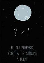 corola-2.jpg