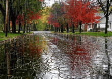 rain12-1.gif