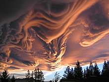 nature_unleashed_11.jpg