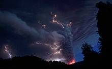 nature_unleashed_20.jpg