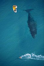 perfect_photography_timing_08.jpg