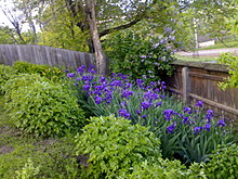 09052008604.jpg