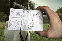 drawing_vs_photography_part_02.jpg