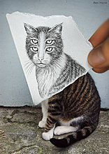 drawing_vs_photography_part_07.jpg