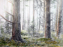 example-oregon-forest.jpg