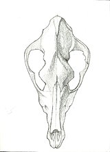 scan0001.jpg