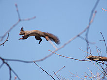 picture-2.jpg