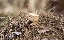 danbo-march-wallpapers_17950_2560x1600.jpg