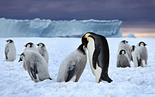 winterx5.jpg