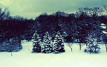 winterx6.jpg