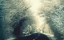 winterx.jpg