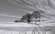 winterx16.jpg