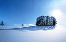 winterx17.jpg