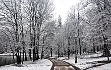 winterx21.jpg