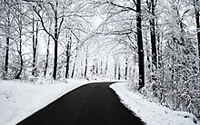 winterx22.jpg