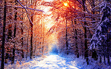 winterx25.jpg