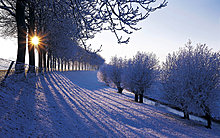 winterx19.jpg