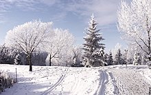 holidayx16.jpg