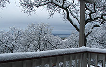 holidayx75.jpg