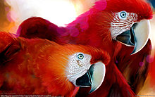 4a07a4a6_6244fd9f_wallpaper_jean_frances_paolo_ramirez_06_1920x1200.jpg