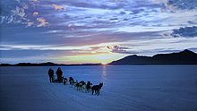 dogs-antarctica-1920x1080.jpg