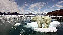 we-must-save-antarctica-1920x1080.jpg