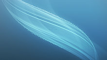 oceanicmix.jpg